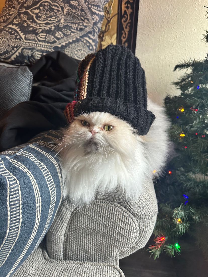Abby in hat
